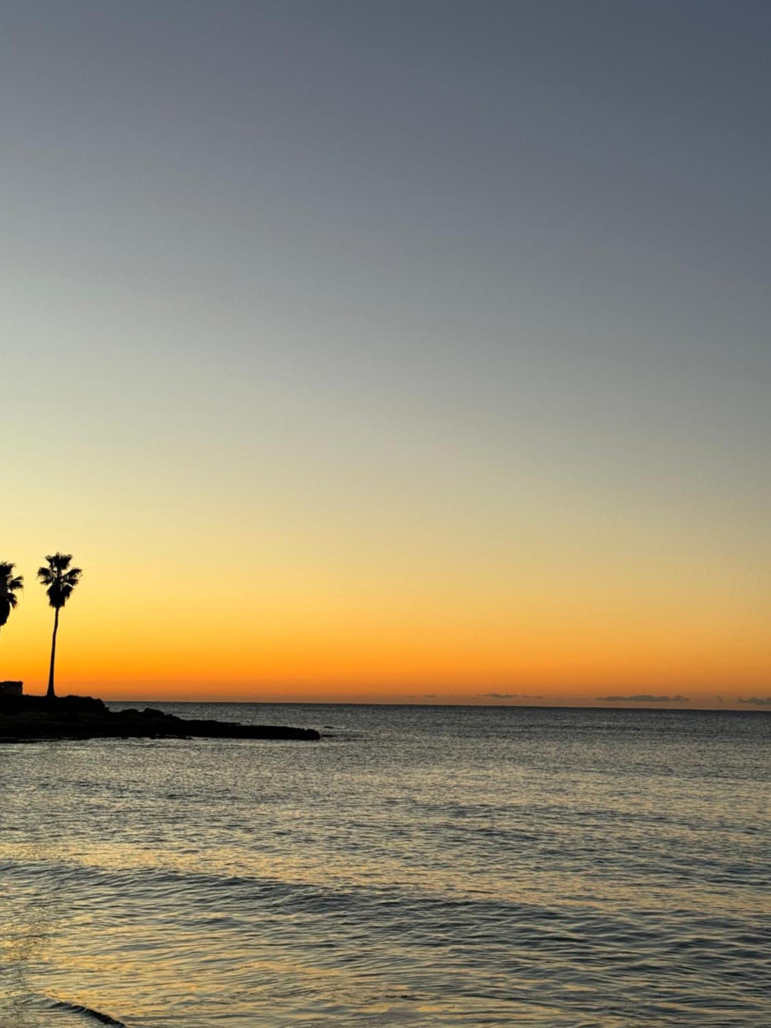 Beach Apartament In Torrevieja Exterior photo